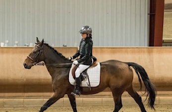 Programridning i dressur!