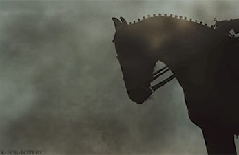 Utvidet klubbstevne i dressur