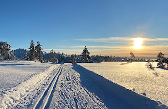 Virtuell ski konkurranse