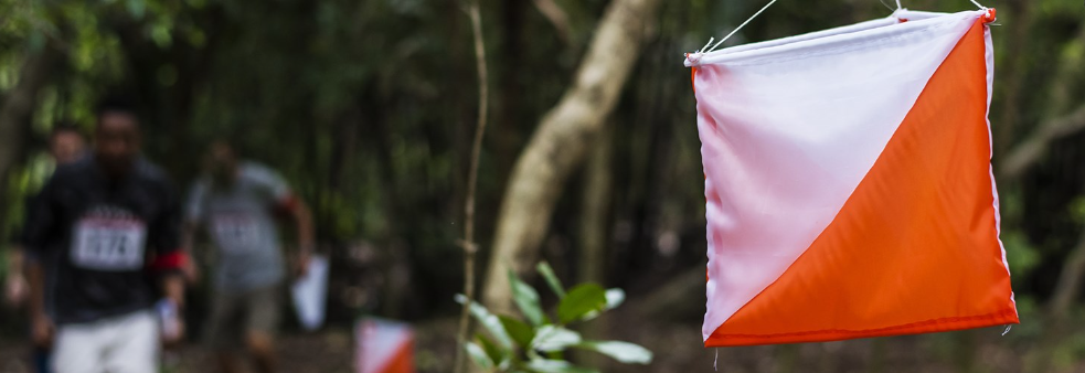 O-løp Sør-Rogaland: Dale