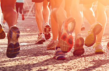 Gå-Joggen løp 6, Koigen