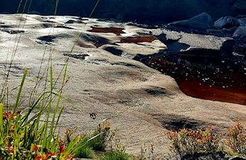Ti på topp avslutning Elverum 2022