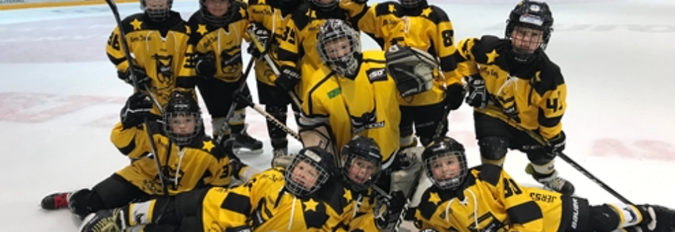 Kråkene Moss inviterer til hockeycamp i uke 33