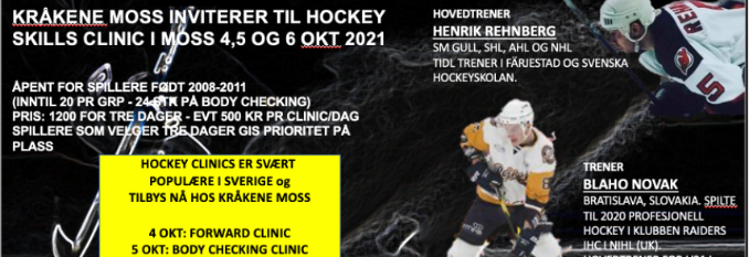 Hockey Skills Clinic