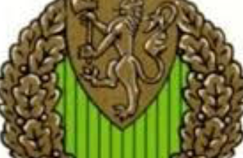 Idrettsmerket