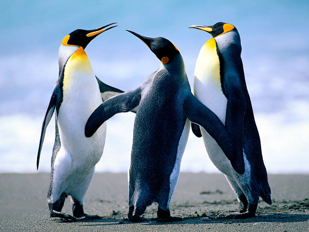 Årsmøte