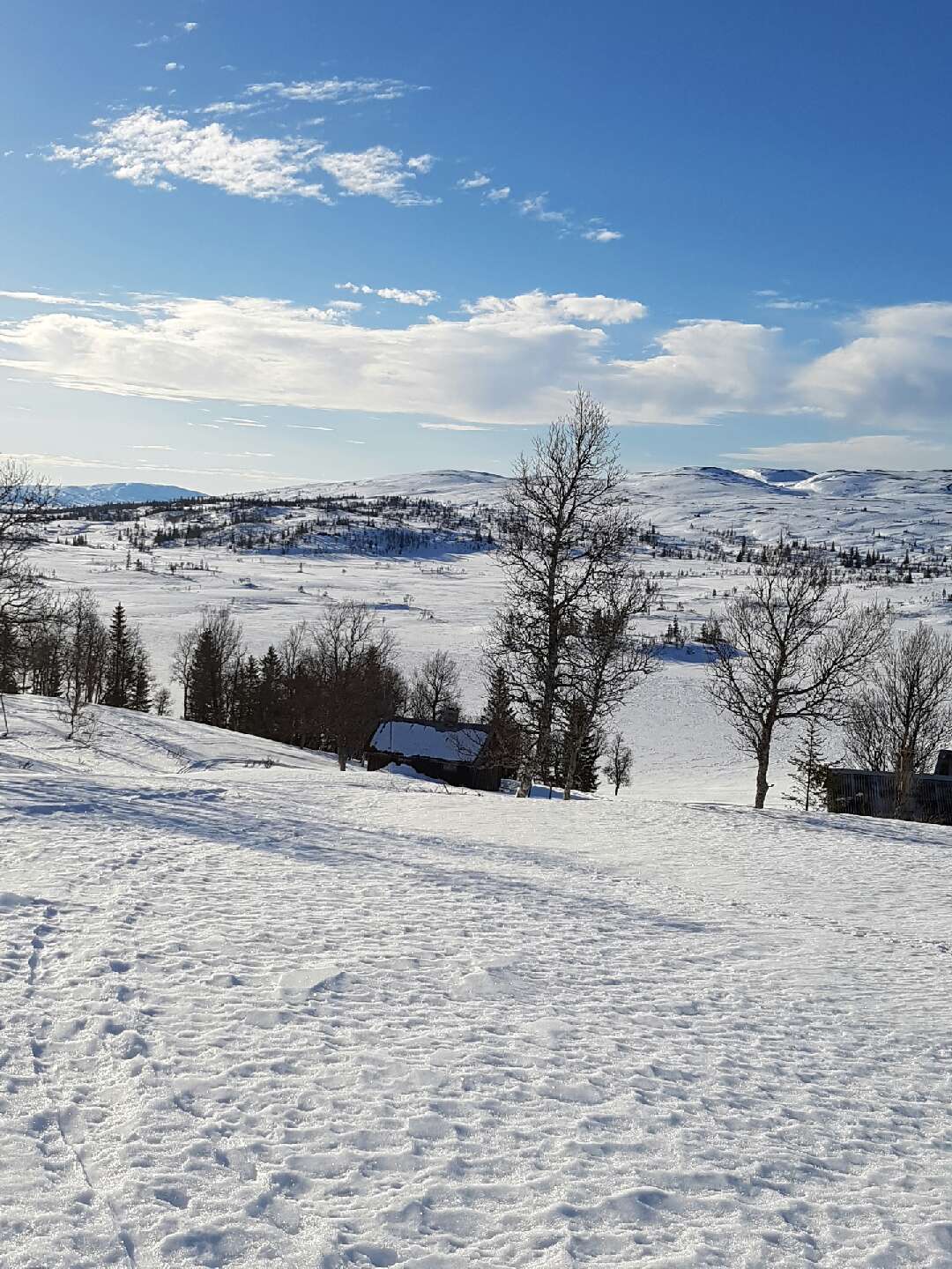 Bilde fra Vitjenna