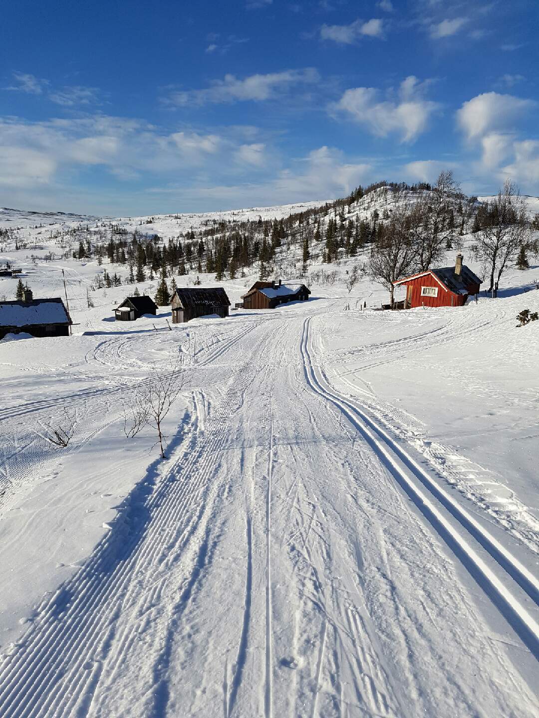 Bilde fra Kallarsvollen