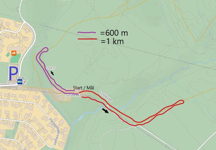 Løypekart karusellrenn