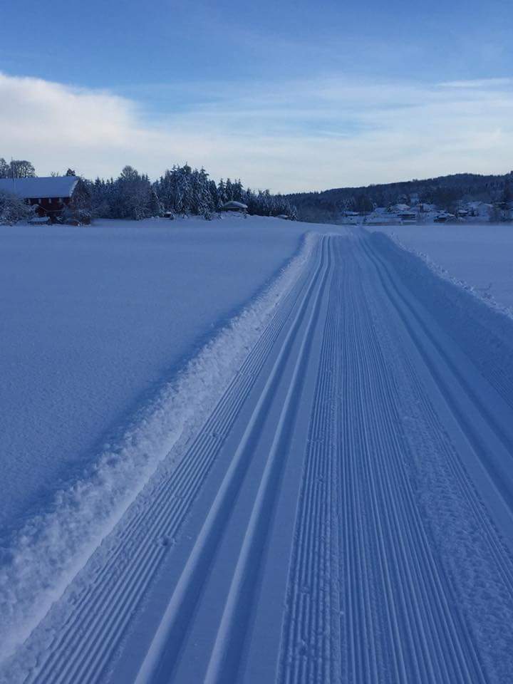 Fortsatt flotte skiforhold i Hof