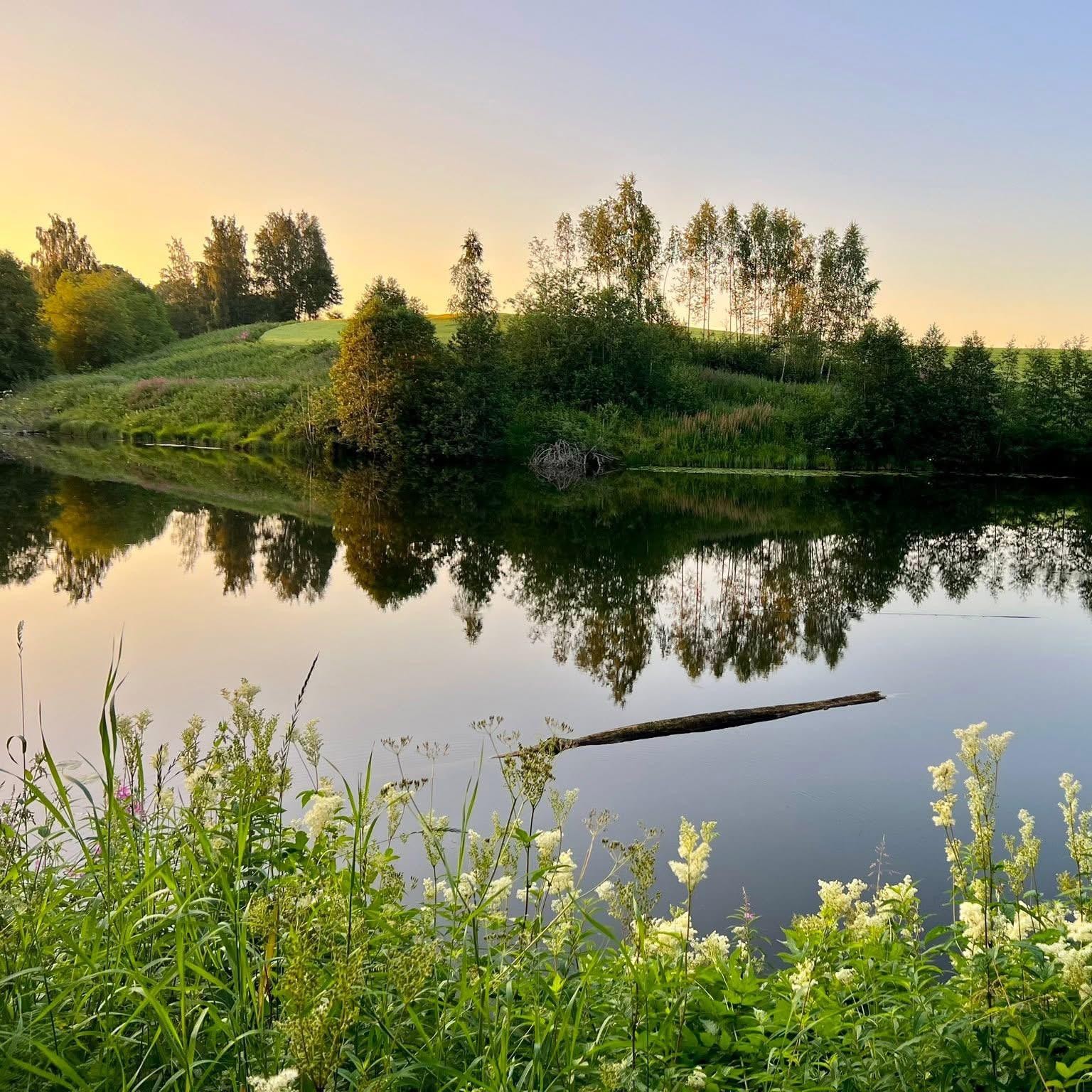Image for Ti på Topp Romerike