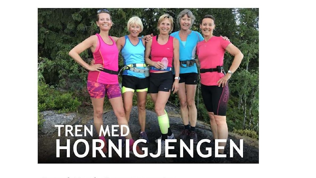 Hornigjengen_ (002).jpg