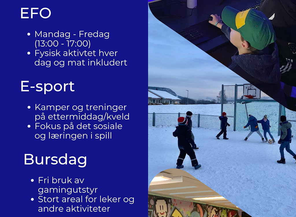 photoeditorsdk-export.png