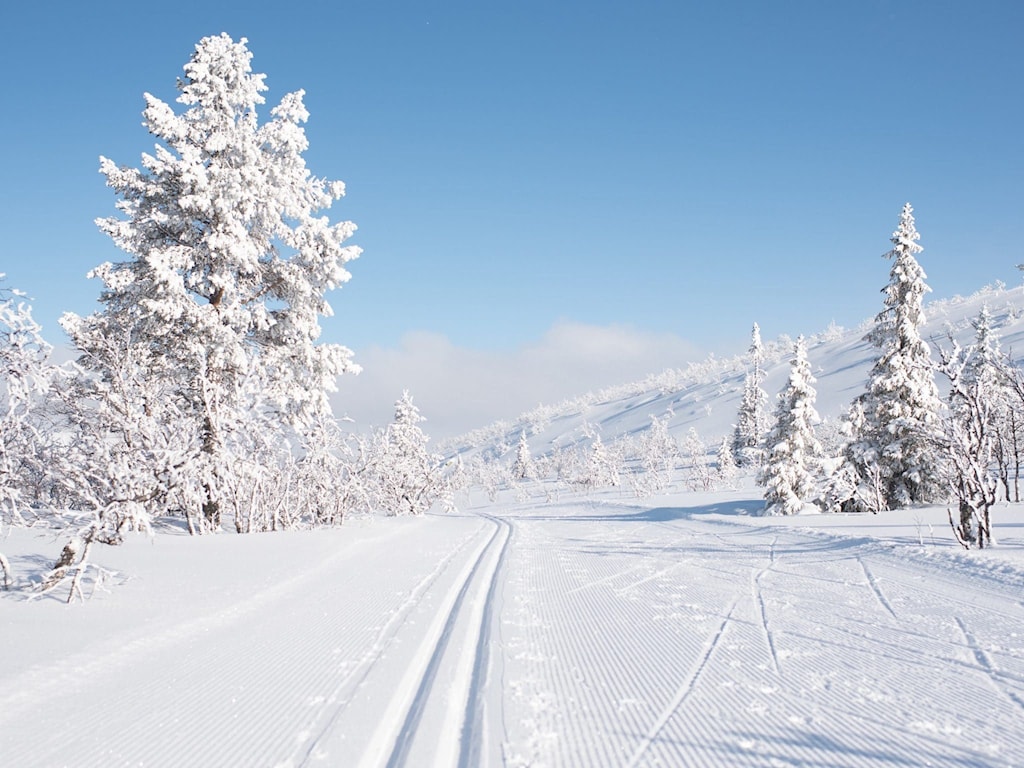 vinter.jpg