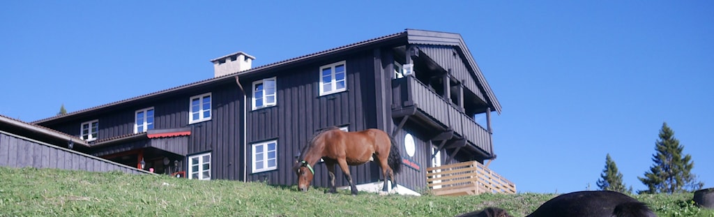 LÃ¸vlia_bilde.jpg