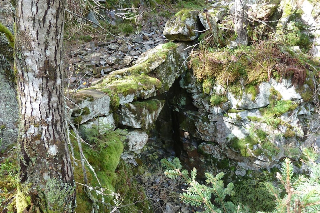 24-05-13 Skoslitern 005.JPG