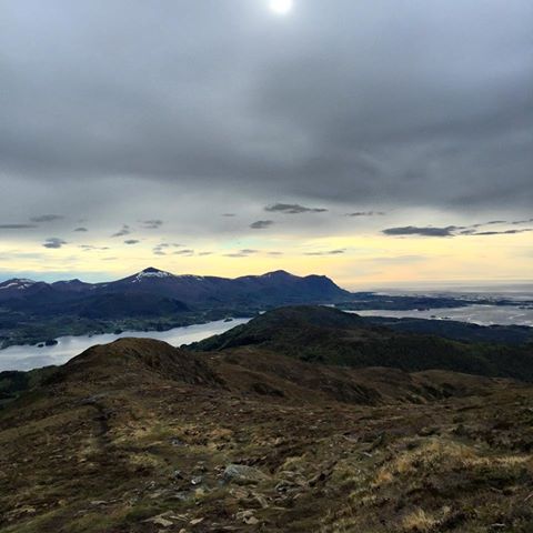 Gulltannmarsjen 2015