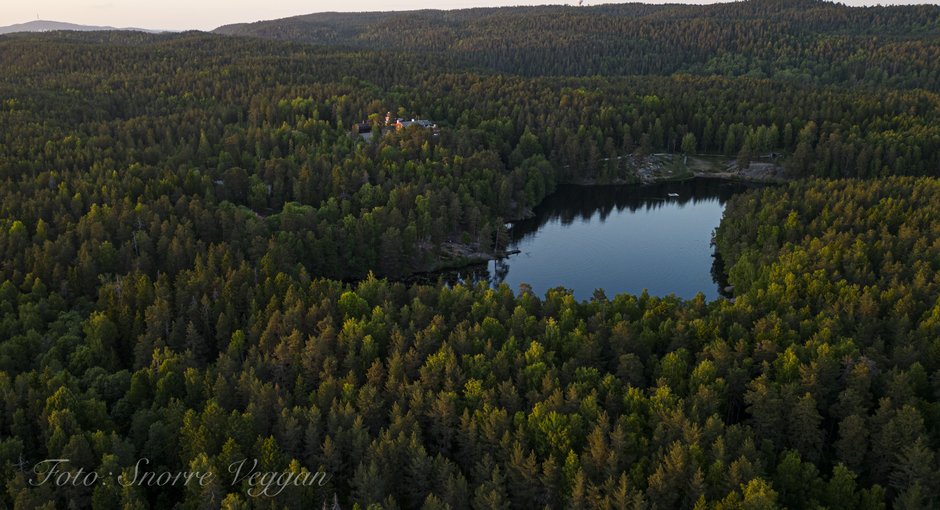 Image for Tre ungdommer har vunnet flytur