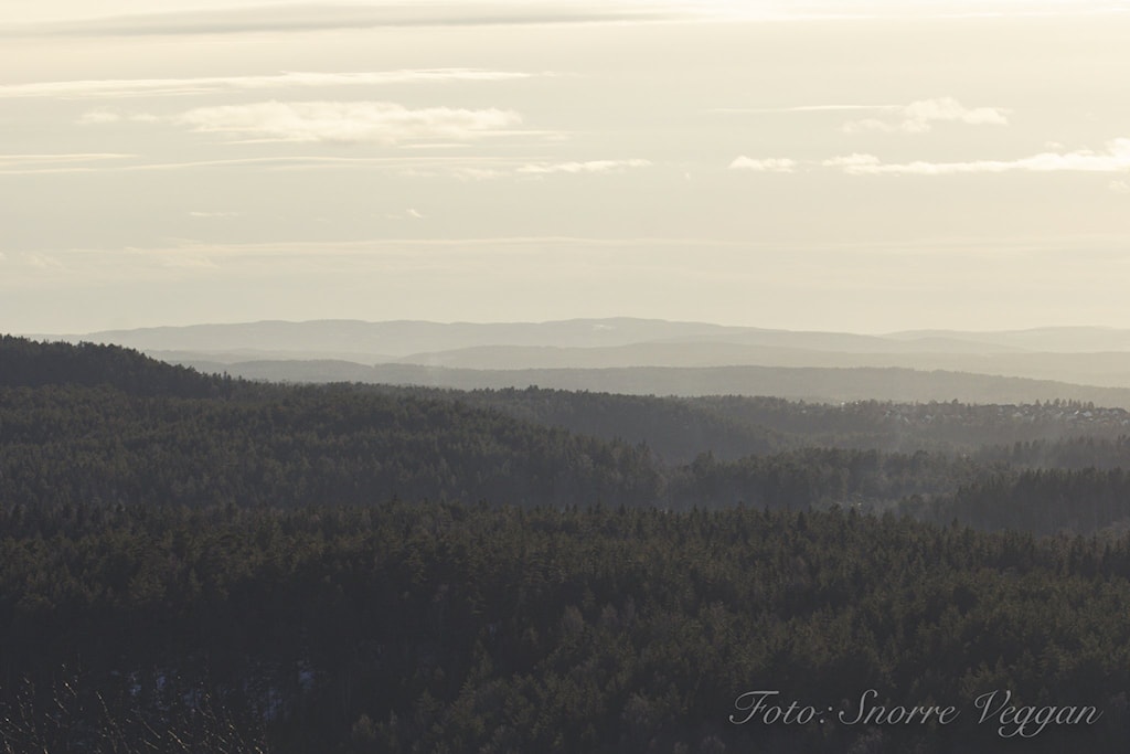 østmarkais-8118.jpg