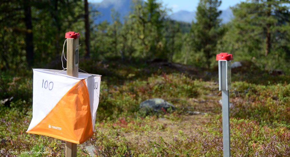Image for Usikkerhet rundt tidspunkt for gjenåpning til trinn 3