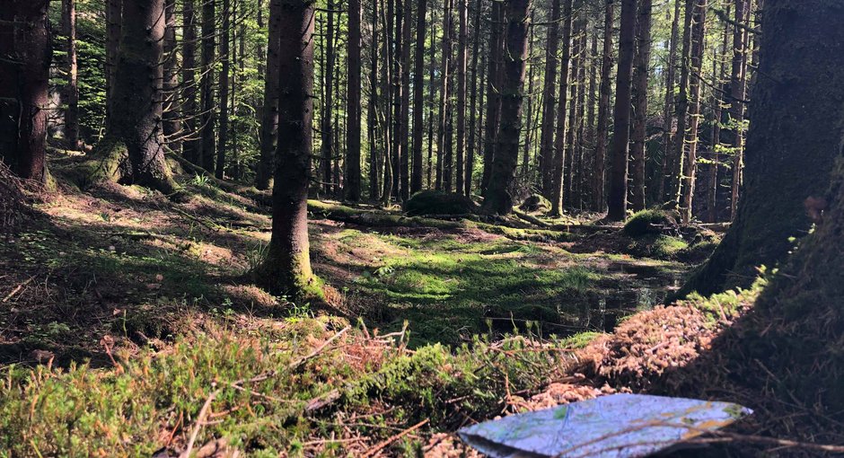 Image for Startlistene til jaktstarten ligger ute