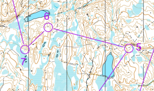 utsnitt-oppsalfjelløkta.png