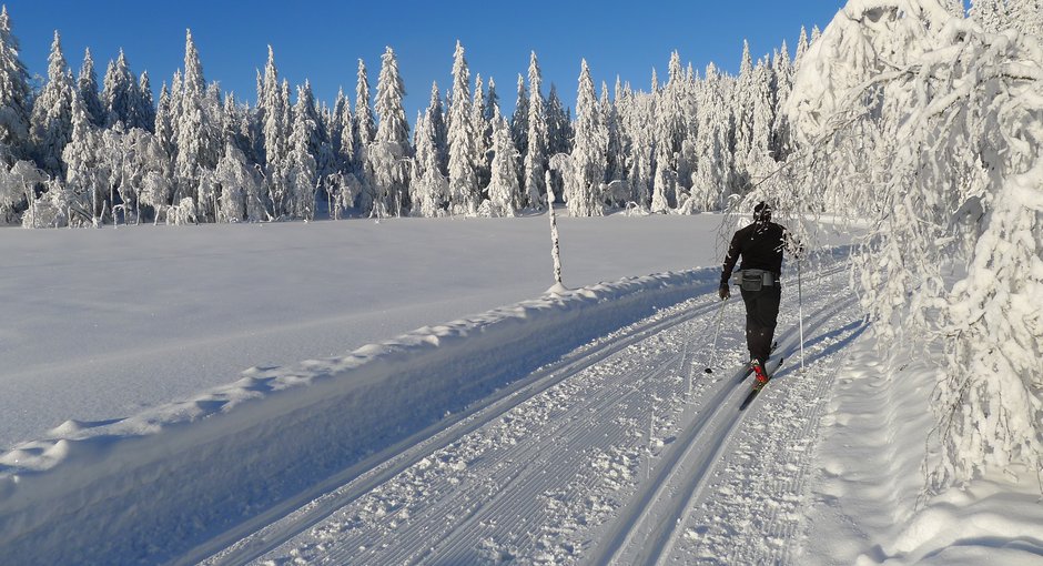 Image for Kan vi gå på ski i Bærumsmarka?