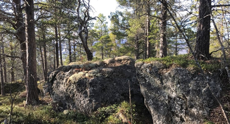 Image for Stemningsrapport fra løypeleggerne