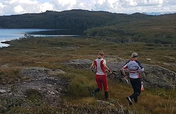 Hordalandsdominans i Vestlandsmesterskapet
