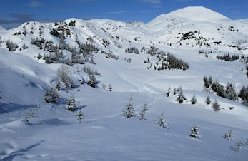 NM ski-orientering i Fana i 2020