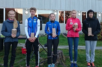 Årets HOK-ranking i mål