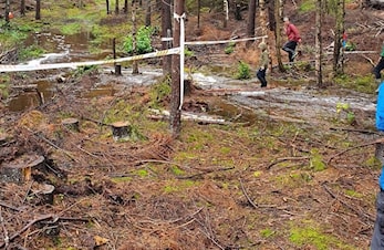 Ungdomsserien 2019