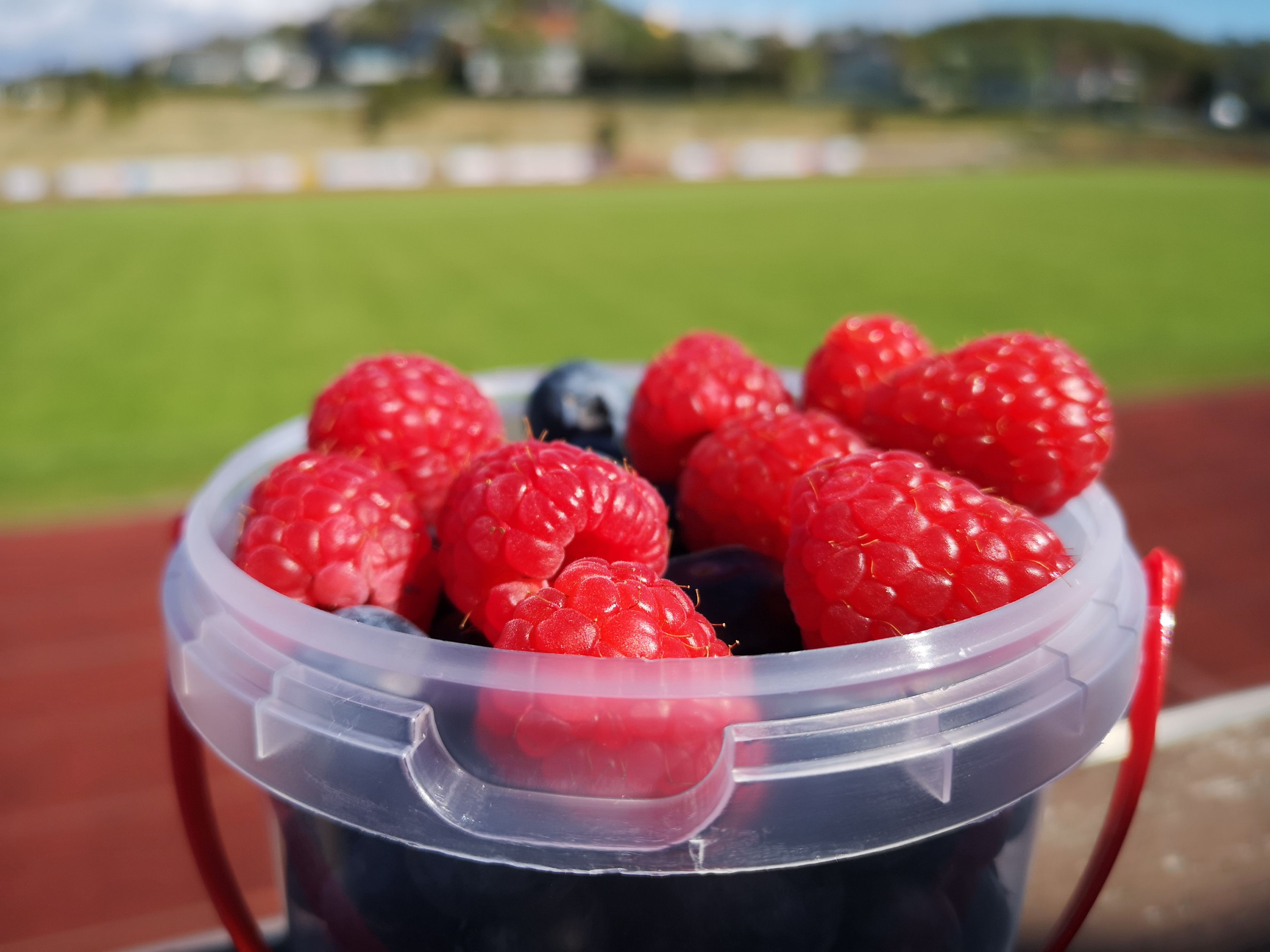 Image for Klubbfrukt ansvarlig-høst