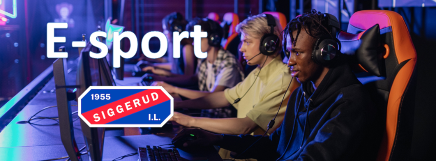 Siggerud IL E-sport facebook.png