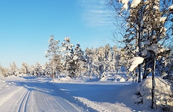 Nydelige forhold for skigåing på Kortjynna! Klubbrenn lørdag og Almlivola Rundt på søndag.