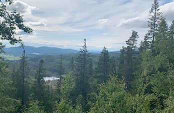 SMN-løpet – Hosethkammen opp onsdag 4. september 2019! – Et motbakkeløp for hele familien!