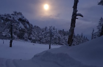 Følg med på skisporet.no