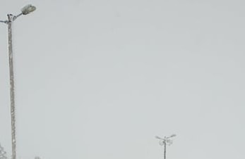 Skjelstadmarkstafetten, mye skiglede!!