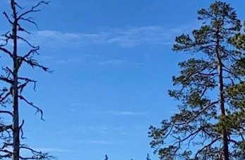 Høgseterrennet 2021