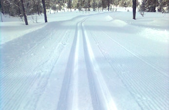 Høgseterrennet-sjekk antall renn du har gått