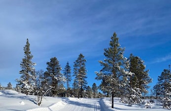 Høgseterrennet 2023