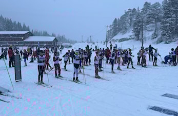 Skjelstadmarkstafetten 2024