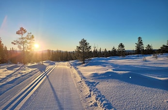 Gå ikke glipp av Høgseterrennet med eventyrlige naturomgivelser og trikkeskinner