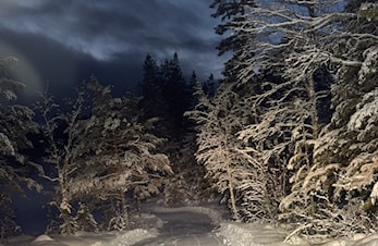 Skispor fra Korstjønna