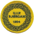 bjorgan.png