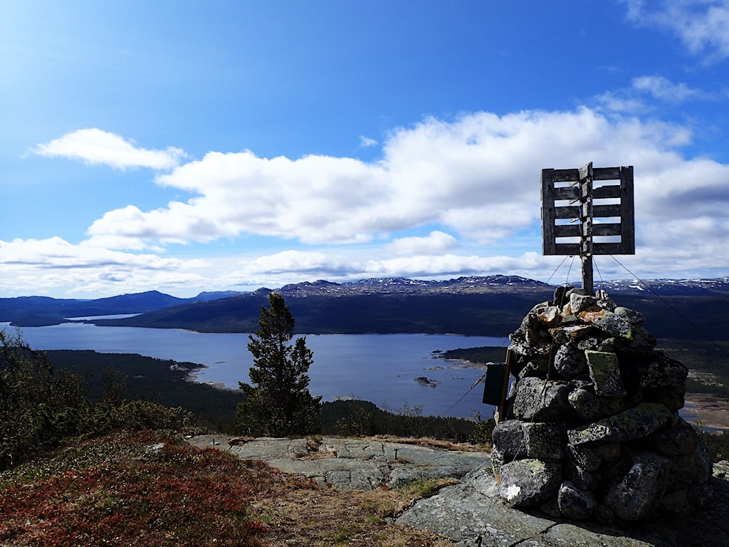 P5312289 (2).JPG