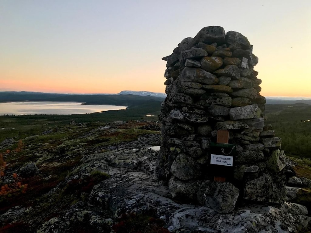 StorehÃ¸gde.jpg