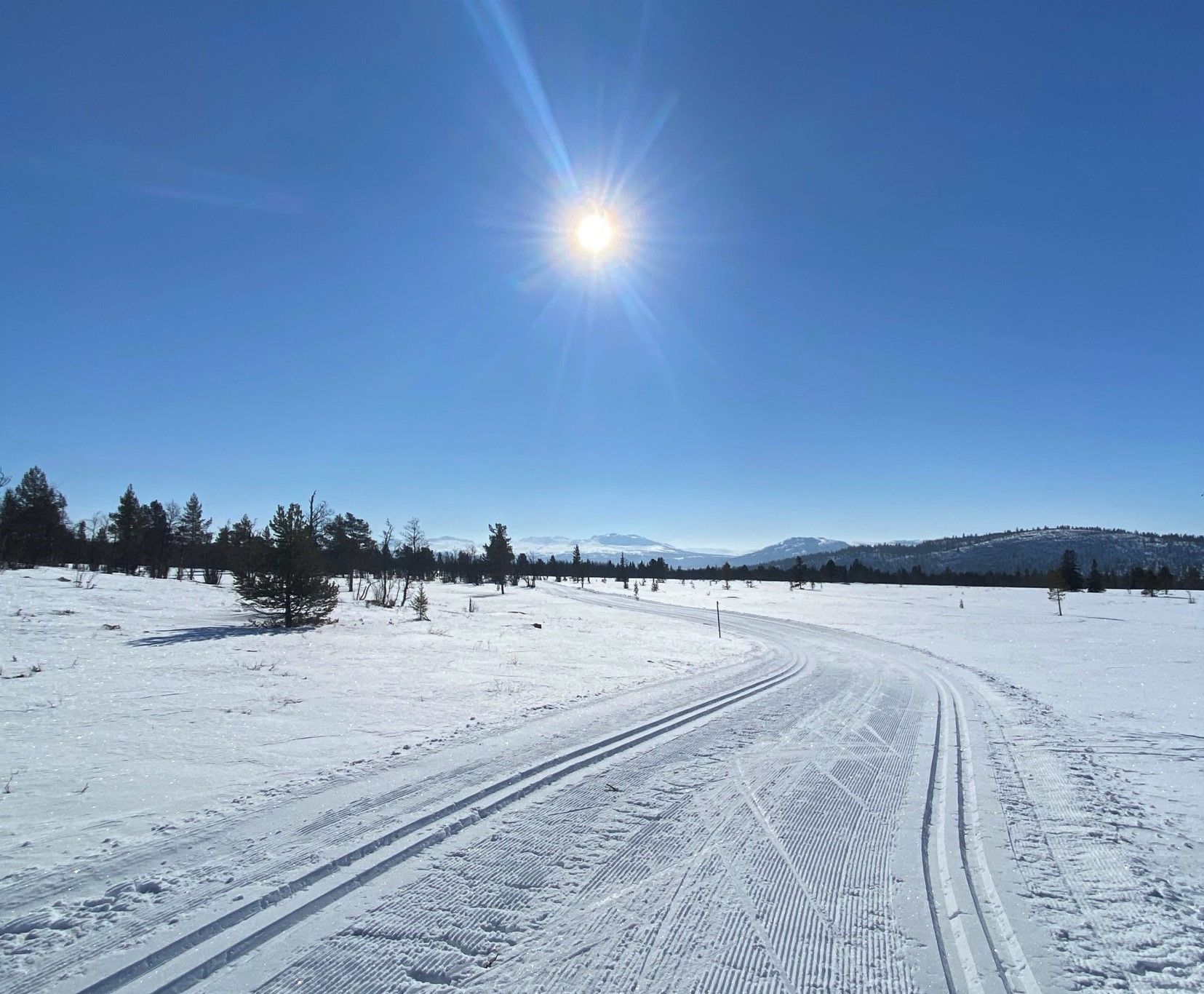 Tunhovdåsrennet 2022