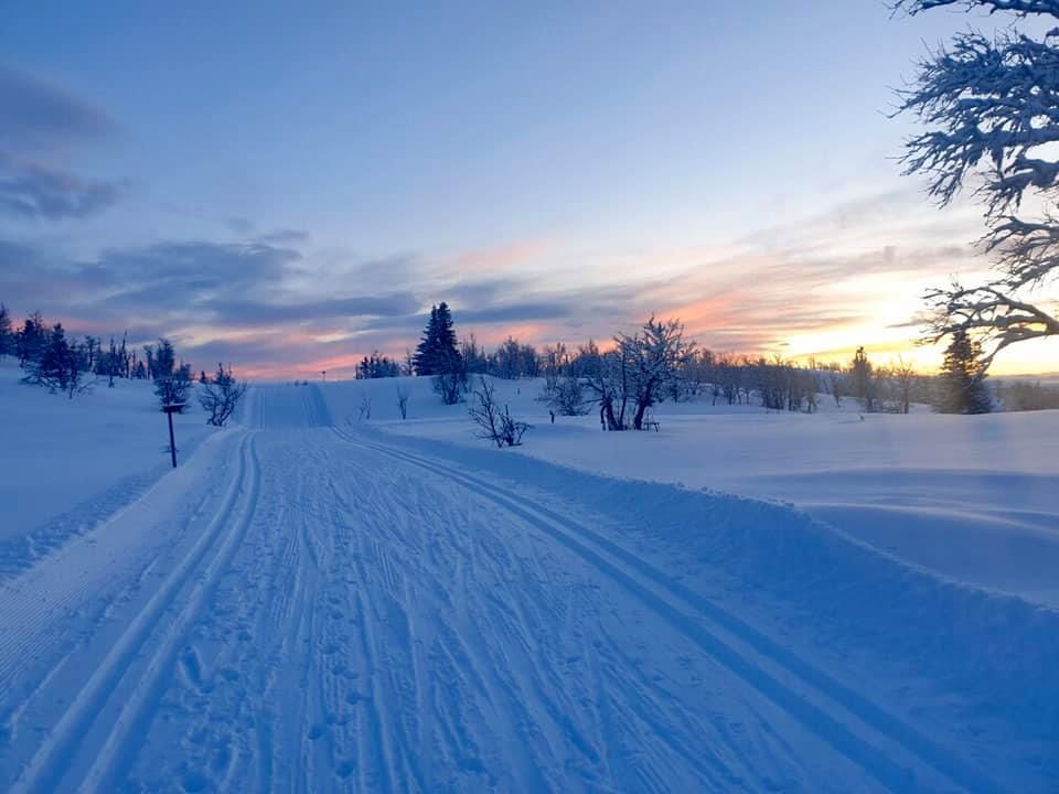Fine forhold i løypa!