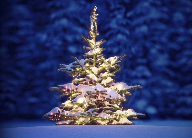 Julegran.jpg